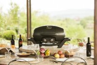 NAPOLEON TRAVELQ Pro285