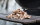 BIG GREEN EGG Eiche Holz Chips