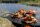 PETROMAX Atago Grillplatte