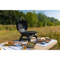 NAPOLEON Travel 240 schwarz