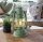 FEUERHAND Baby Special 276 LED Laterne Sage Green