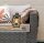 FEUERHAND Baby Special 276 LED Laterne Bronze