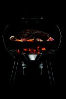 NAPOLEON Premium Holzkohle Kugelgrill, Ø47cm