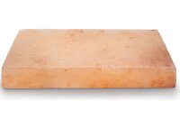 NAPOLEON Salzstein 20x15x4 cm