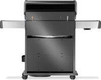 NAPOLEON  Rogue PRO-S 525 mit Gussrosten, Schwarz