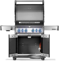NAPOLEON  Rogue PRO-S 525 mit Gussrosten, Schwarz