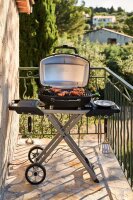 NAPOLEON  TravelQ™ PRO285EX Elektro-Grill mit klappbarem Wagen