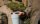 YETI Rambler Stackable Cup MS 16 oz (473ml) Ridgeline